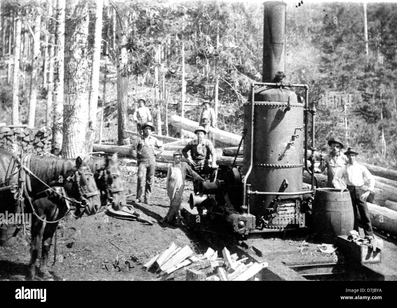 Logging Crew Stock Photo
