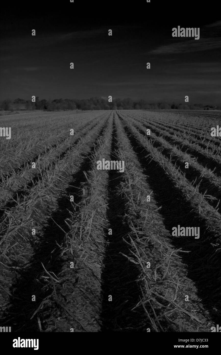 Ploughed Field black and white Stock Photo Alamy