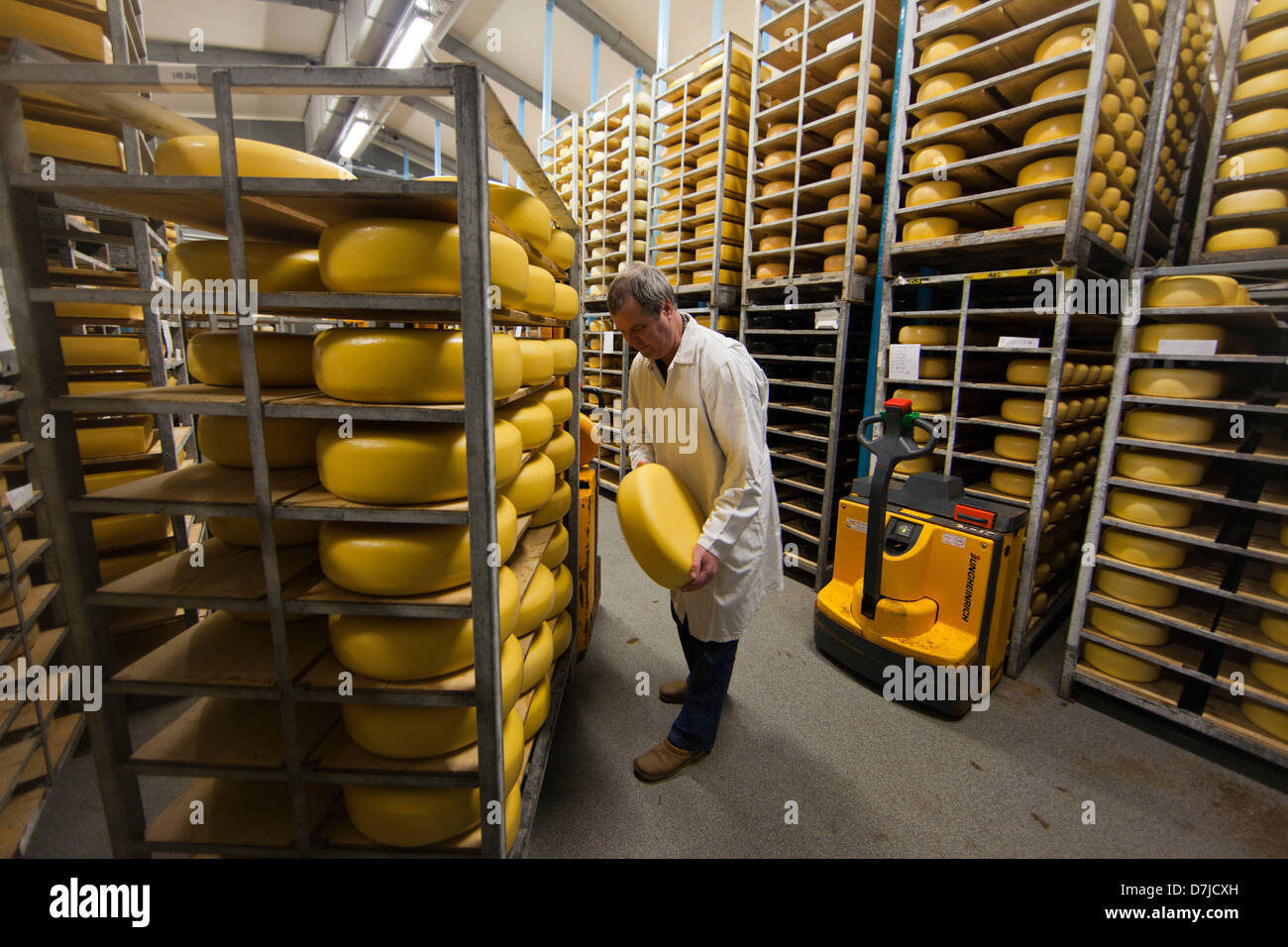 cheese factory in Holland Stock Photo