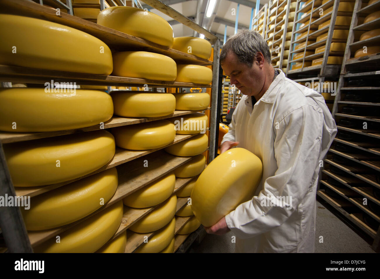 cheese factory in Holland Stock Photo