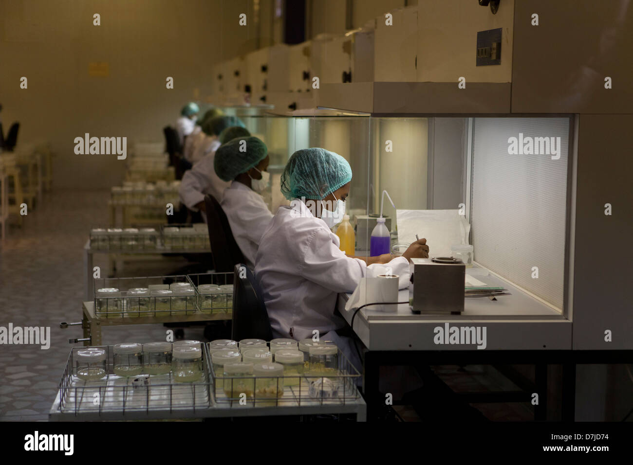 Lab labor hi-res stock photography and images - Alamy