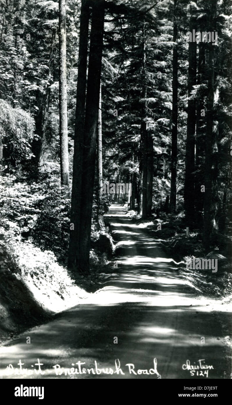 Detroit Breitenbush Road Stock Photo Alamy