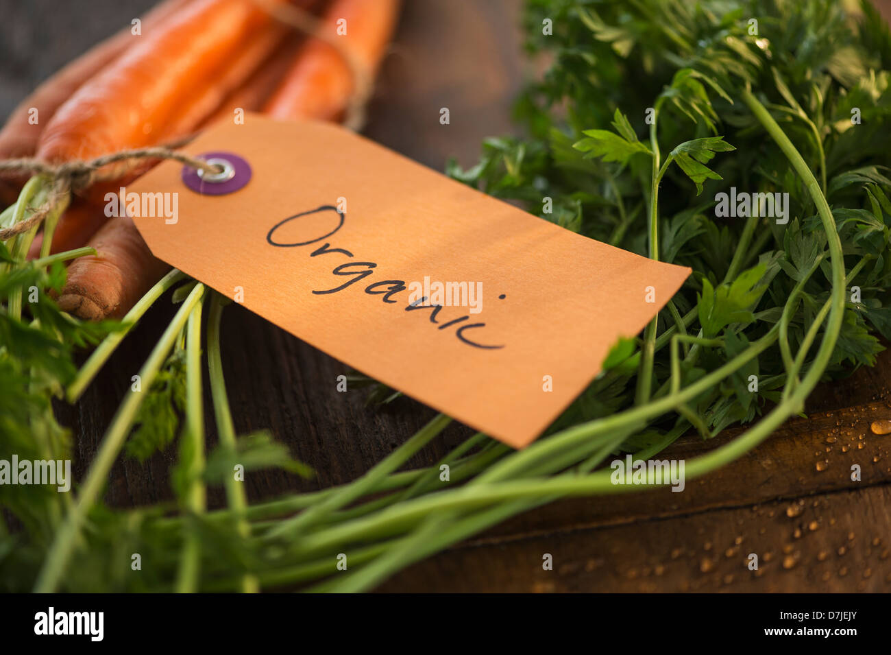Studio Shot of organic carrots Stock Photo