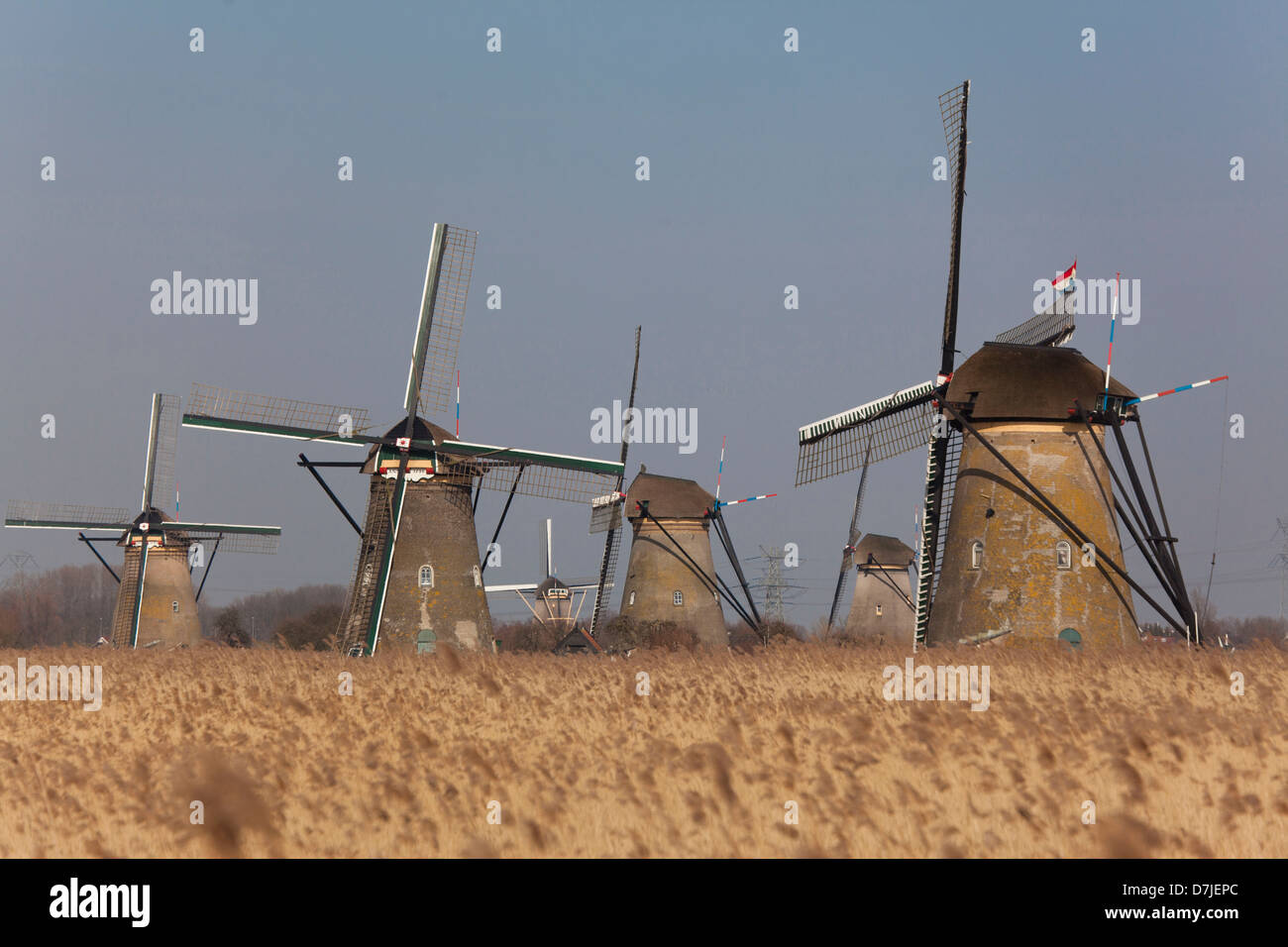 Kinderdijk, 19 Dutch windmills in Holland Stock Photo