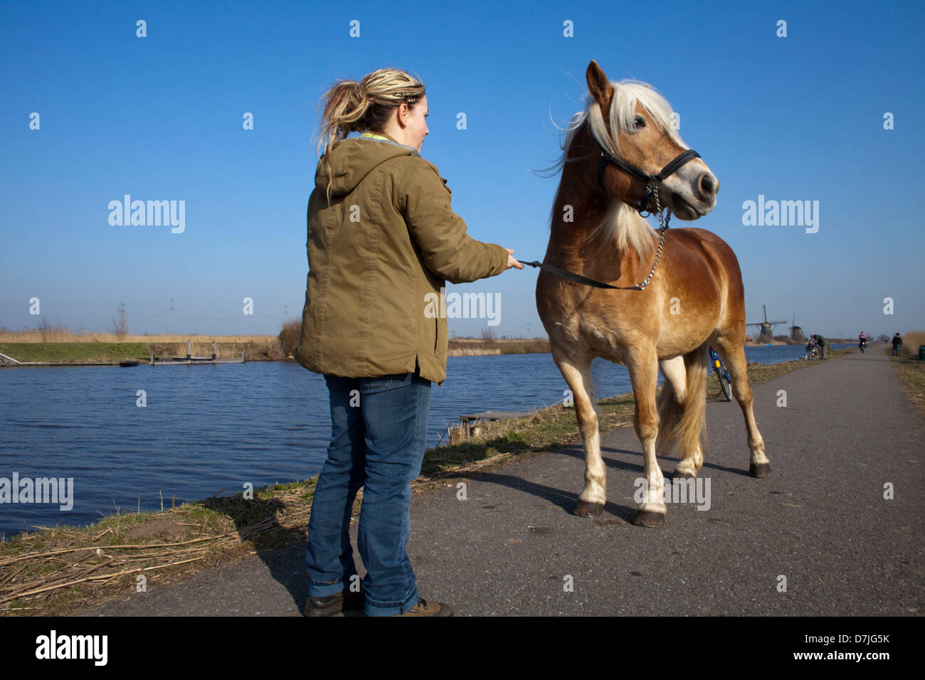 19 mills at the 'kinderdijk' near Rotterdam Stock Photo