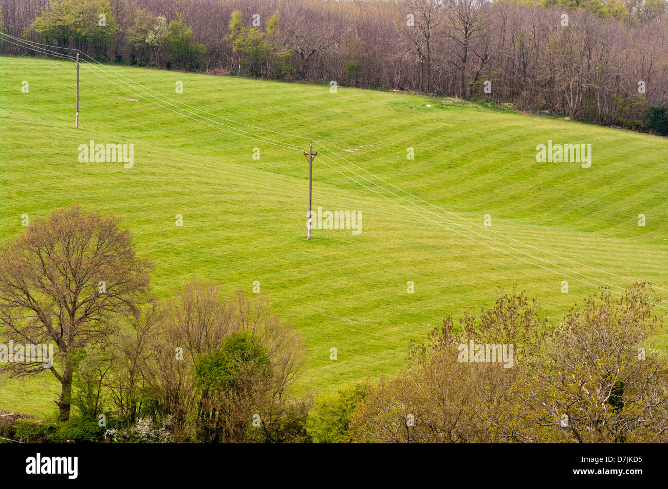 Lush Green Field Of Grass Pasture Land East Sussex UK Stock Photo