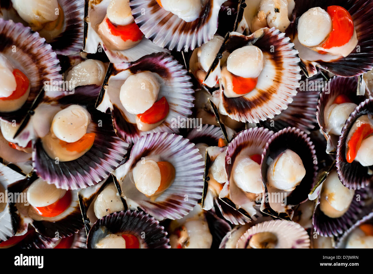 Fresh scallops for sale seen at Chorrillos seafood and fish market in