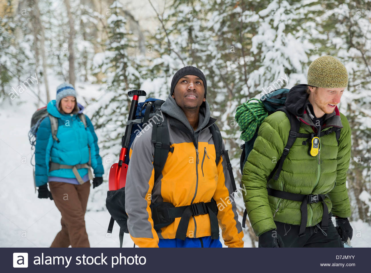 Group of friends on winter hike in mountains Stock Photo
