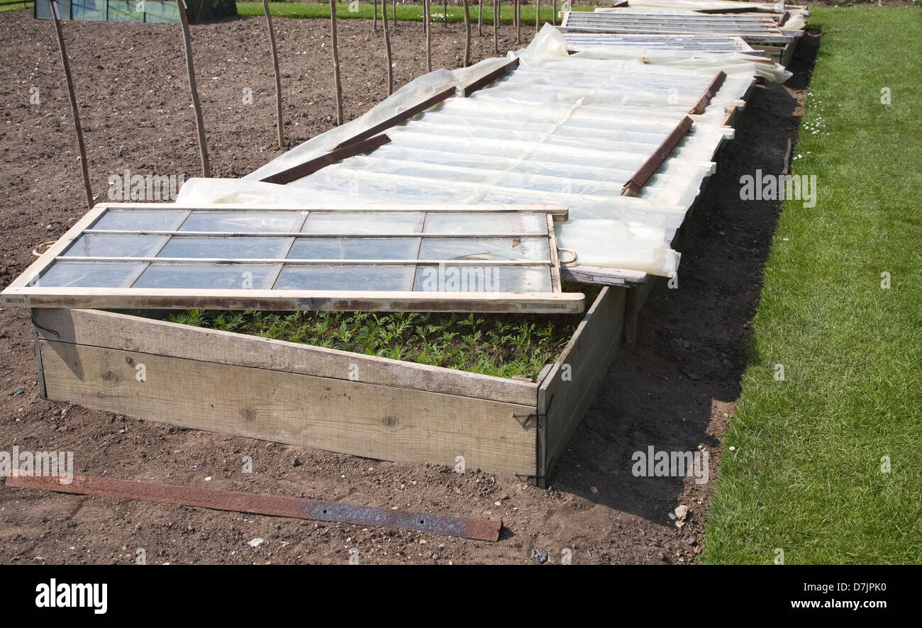 Plants in cold frame at Helmingham Hall gardens, Suffolk, England Stock Photo