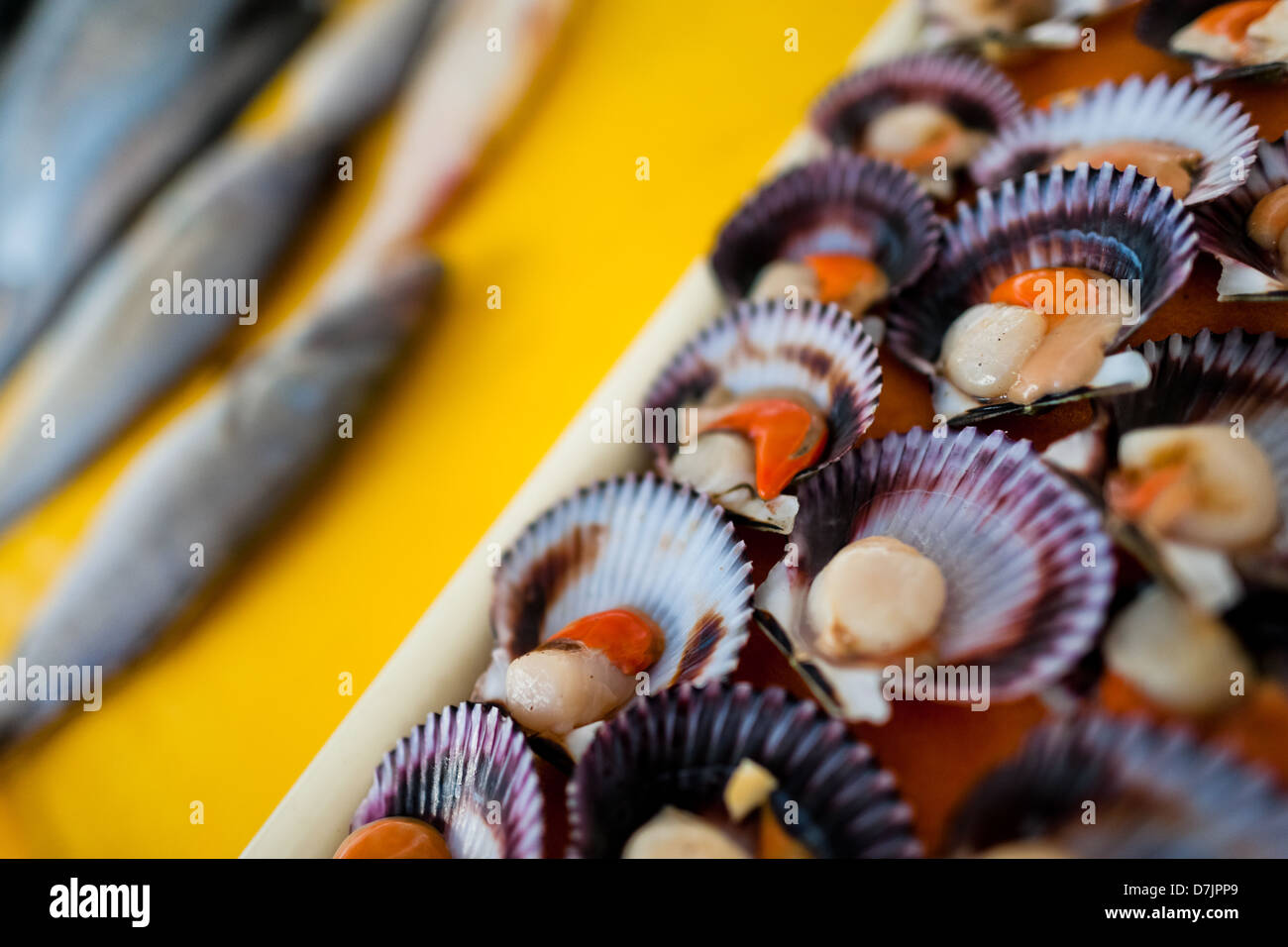 Fresh scallops and fish for sale seen at Chorrillos seafood and fish ...