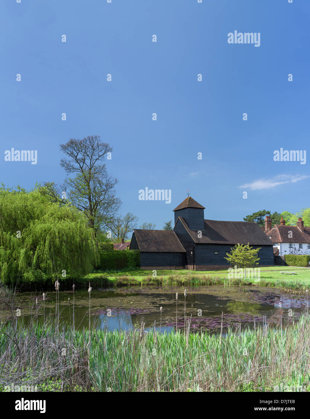 Spring at Buckland village pond, Near Reigate, Surrey Stock Photo