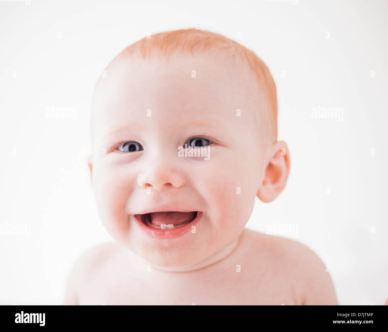 Studio shot portrait of laughing baby boy (18-23 months) Stock Photo