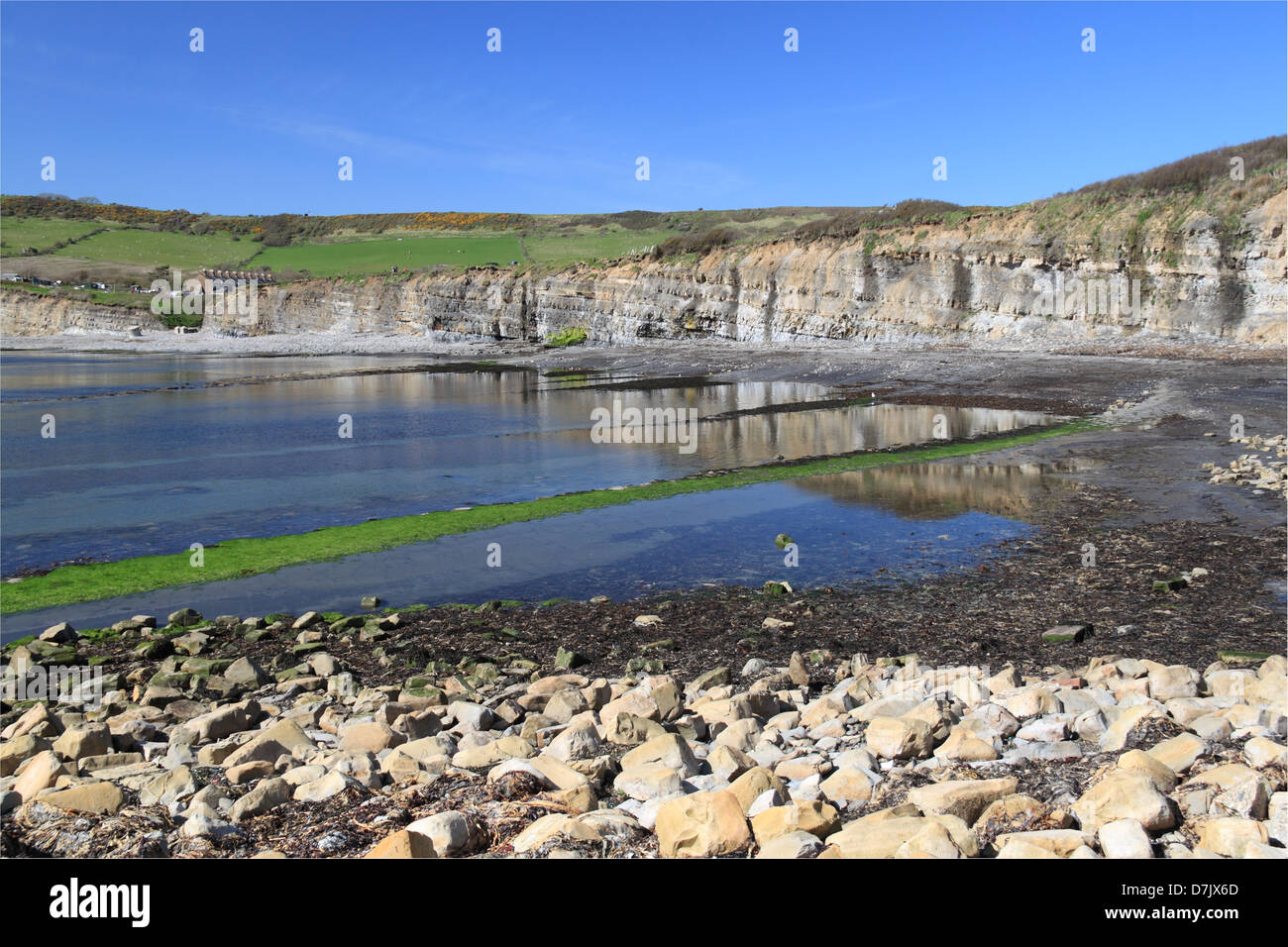 Kimmeridge Bay, Smedmore Estate, Isle of Purbeck, Dorset, England