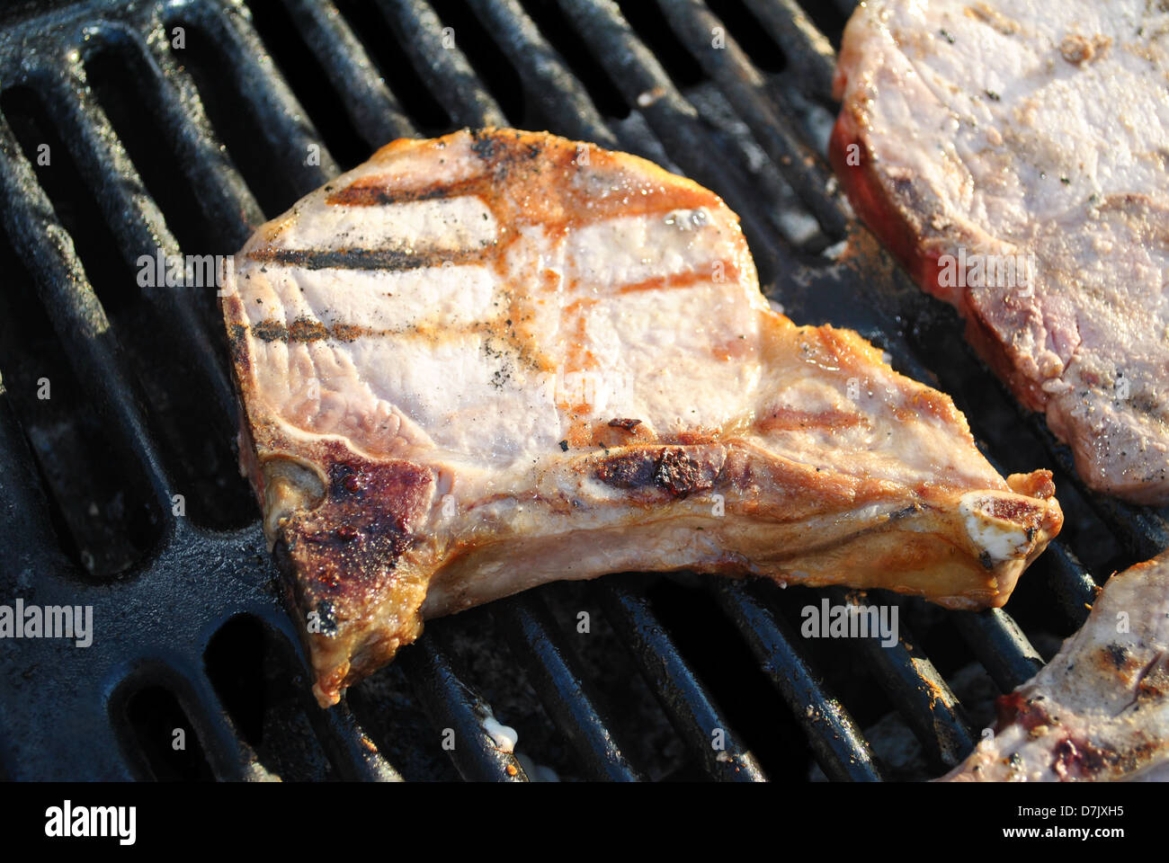 One Grilled Pork Chop Stock Photo