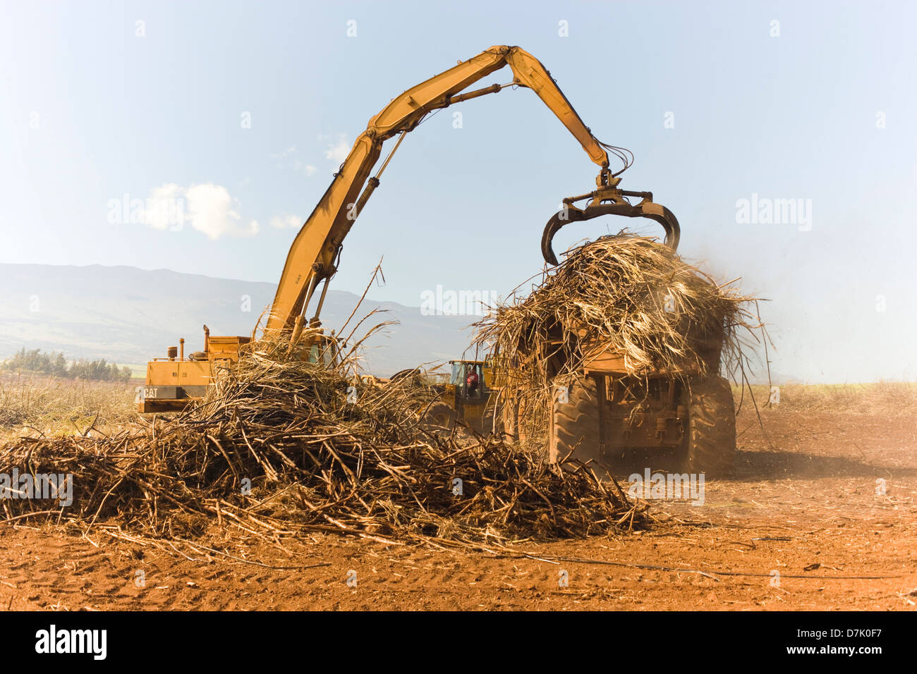 Agriculture, Harvesting Sugar Cane,  in Hawaii, Harvest Crane and Hauler Loading Sugar Cane for Transport to Refinery, Daytime, Sunny, Dirt Blowing Stock Photo