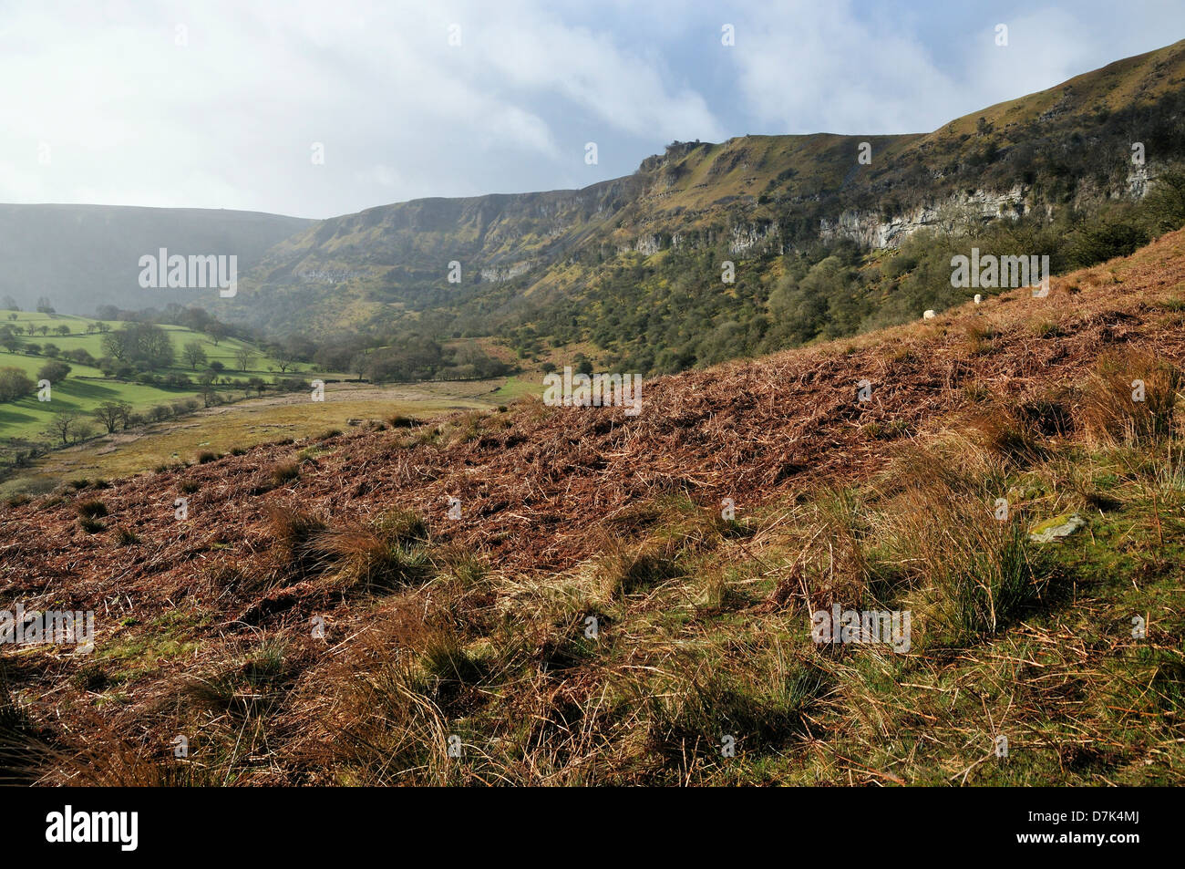 Bracken hillside, raised bog, and limestone cliffs at Craig y Cilau, Llangattock Stock Photo