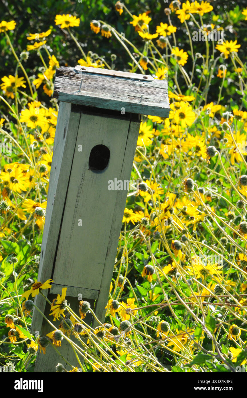 A rustic wooden bird house in a field of daisy like yellow flowers. Vertical format. Stock Photo