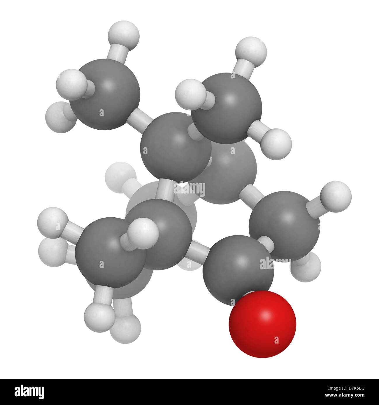 Camphor, chemical structure. Atoms are represented as spheres with