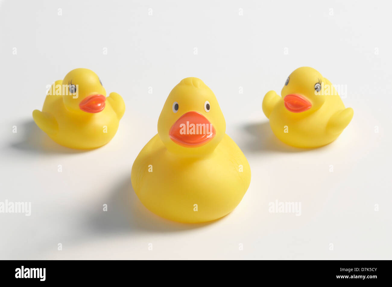 Yellow rubber duck on white background Stock Photo - Alamy