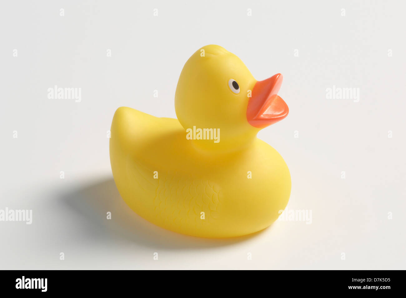 Yellow rubber duck on white background Stock Photo - Alamy