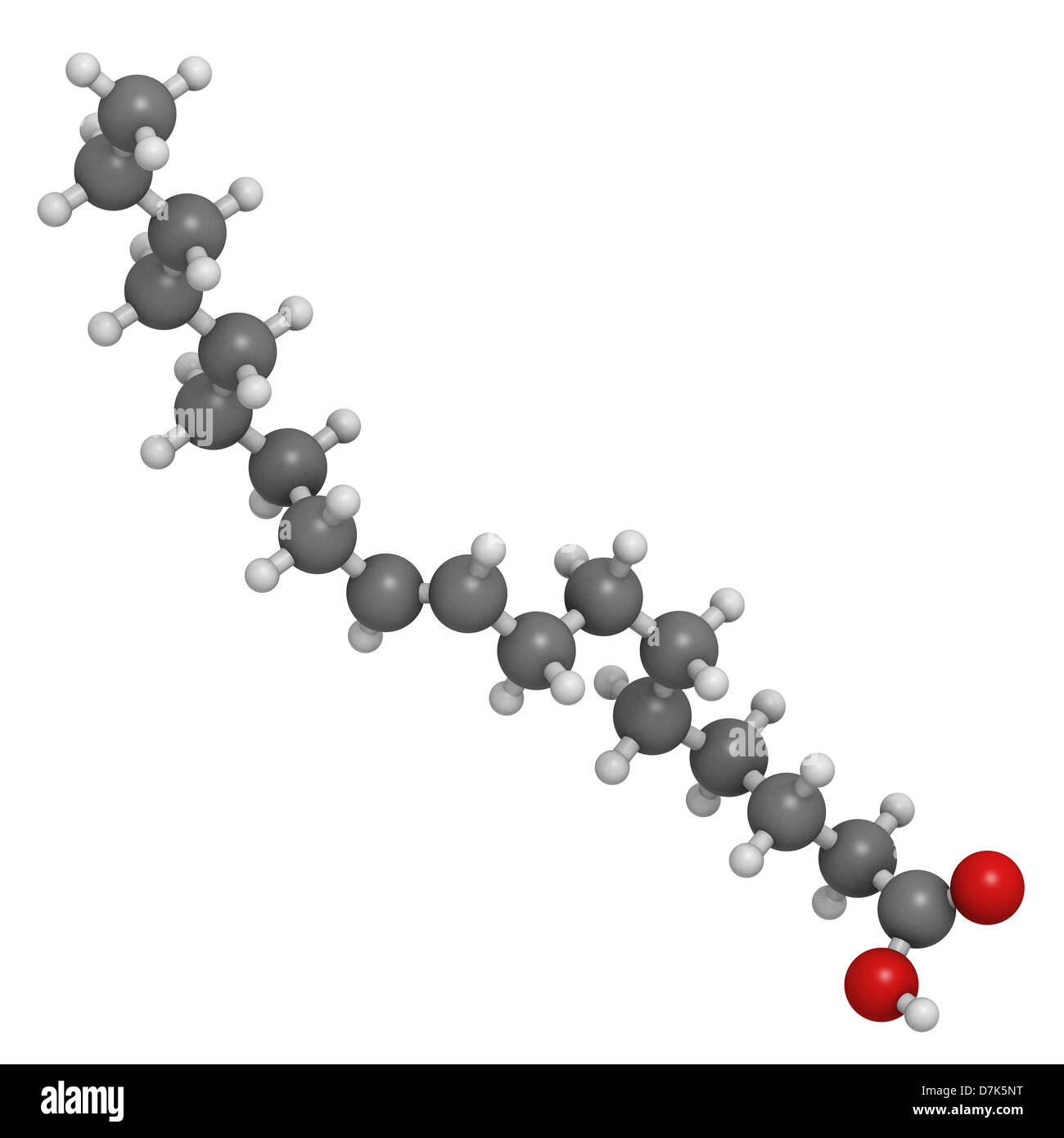 Hydrogenated Oil Structure