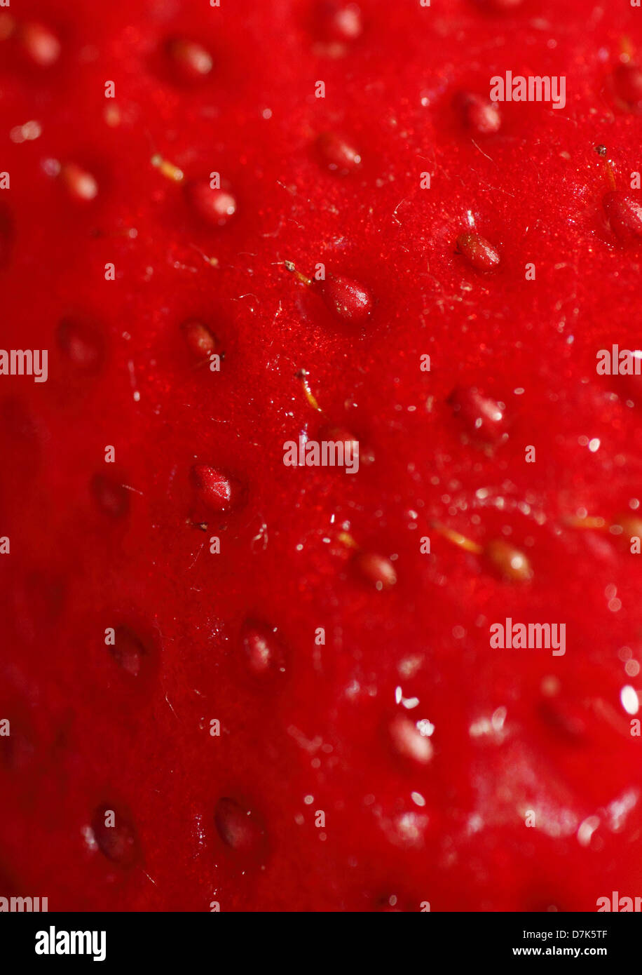 Berlin, Germany, Close up of a strawberry Stock Photo