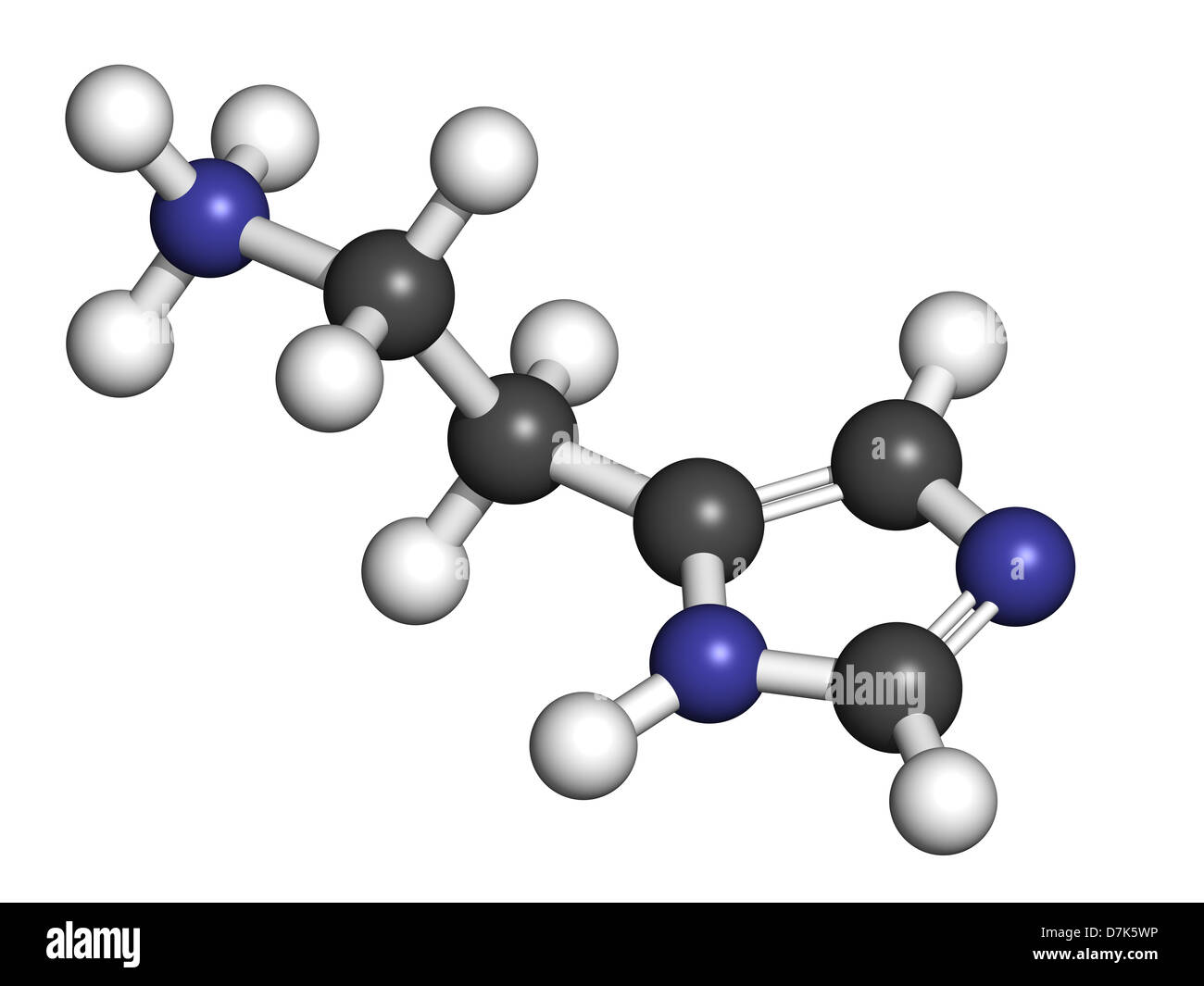 Histamine neurotransmitter, molecular model. Atoms are represented as