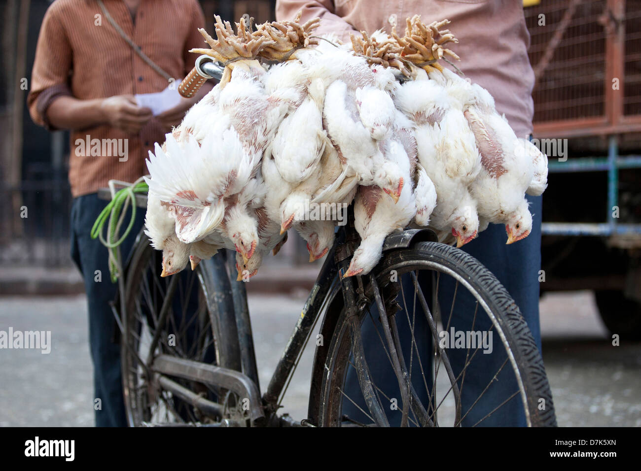 Selling live chickens hires stock photography and images Alamy