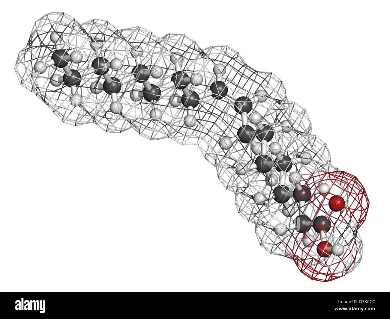 Oleic acid omega9 fatty acid, molecular model. Oleic acid is the main