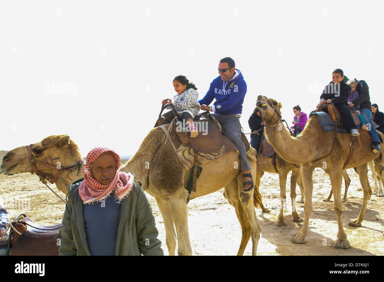 Page 3 Camel Israel Desert Negev High Resolution Stock Photography And Images Alamy