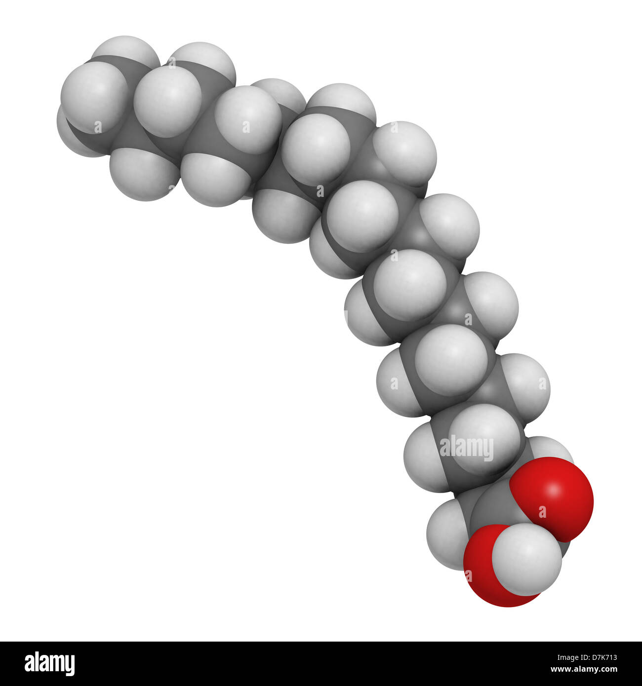 Stearic Acid Molecule - Stock Image - F017/5090 - Science Photo Library
