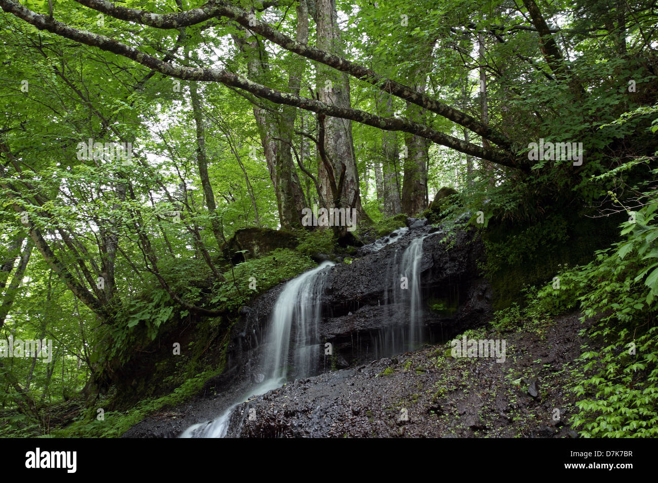Water fall Stock Photo
