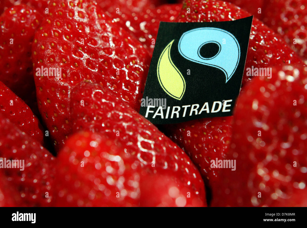 Berlin, Germany, strawberries with a fair trade label Stock Photo Alamy