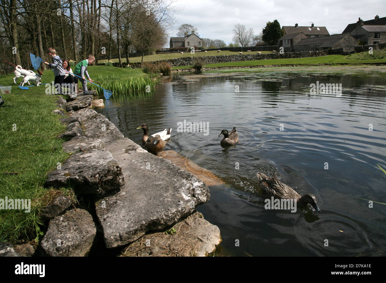 Village pond, Monyash, Derbyshire Stock Photo