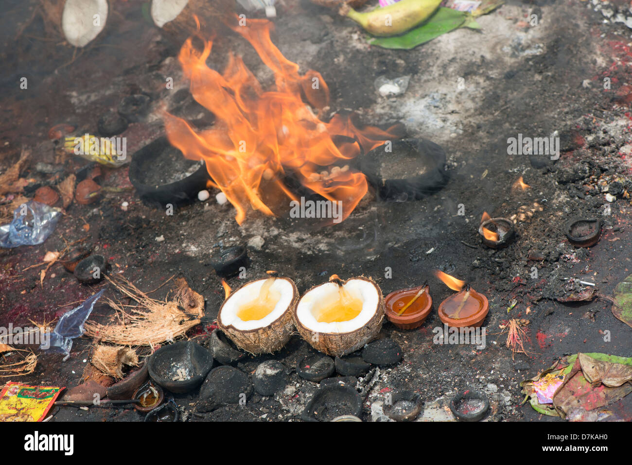 Offerings of coconut and ghee lamps are placed on the ground at the Arunachaleswara Temple in Tiruvannamalai, Tamil Nadu, India Stock Photo