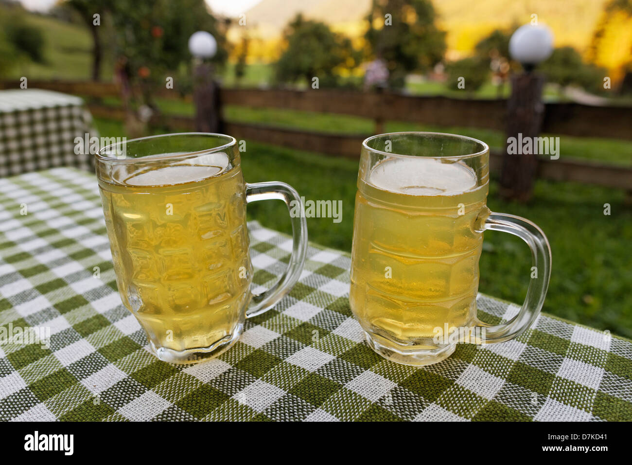 Austria, Upper Austria, Two glasses of cider on table Stock Photo
