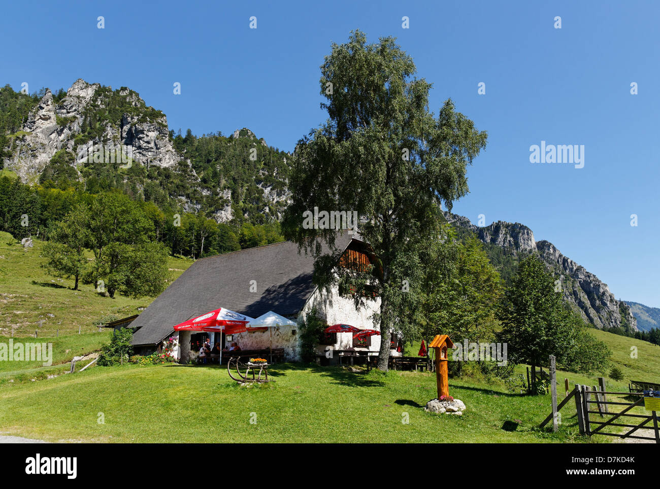 Austria, Upper Austria, View of Puglalm alps at Hengstpass Stock Photo