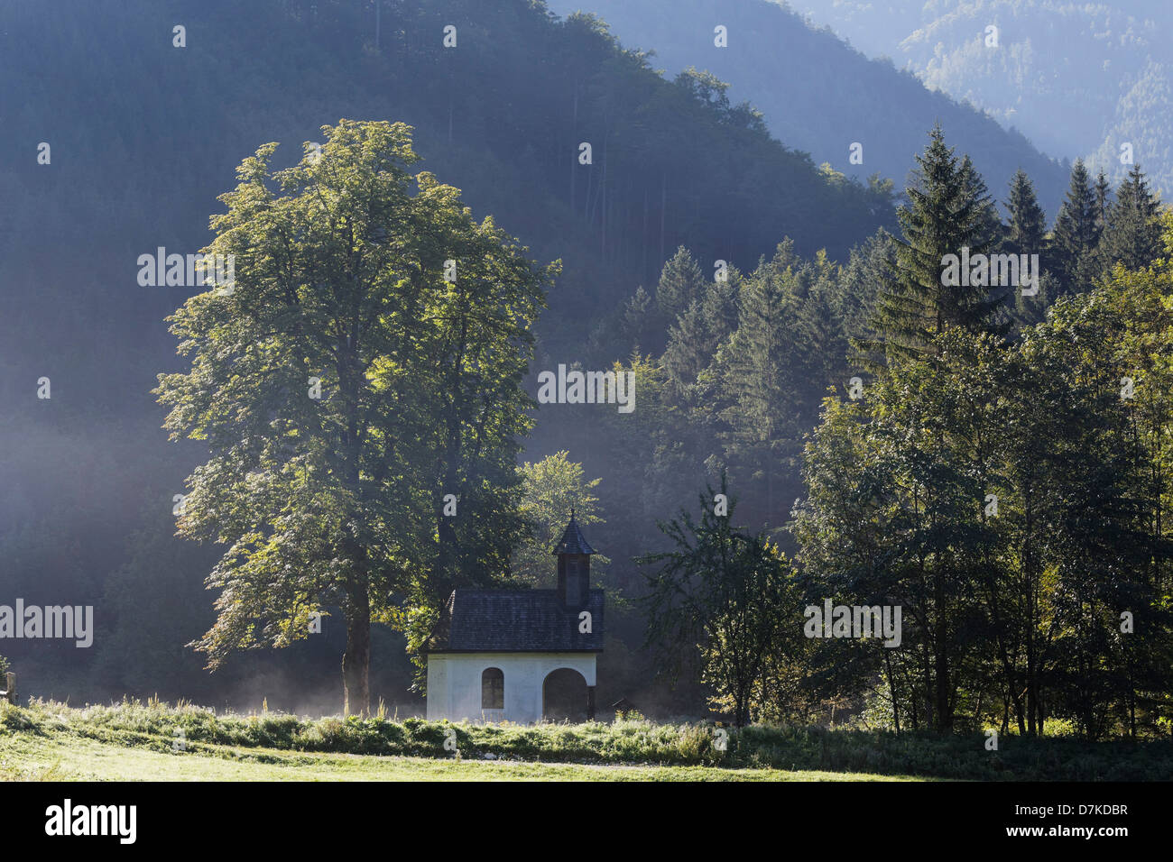 Austria, Upper Austria, View of Limestone Alps National Park Stock Photo