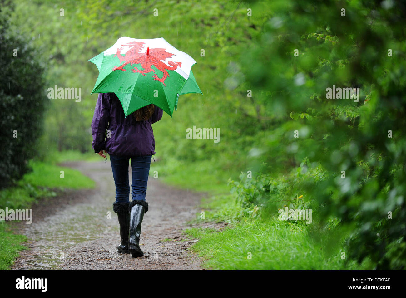 Cardiff, Wales, Uk. 9th May 2013.   A girl uses an umbrella to shelter from the rain in Rhiwbina, Cardiff. More wet weather has been forecast for the weekend. Credit: Matthew Horwood /Alamy Live News Stock Photo