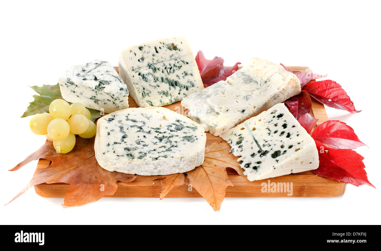different kinds of blue cheeses in front of white background Stock Photo