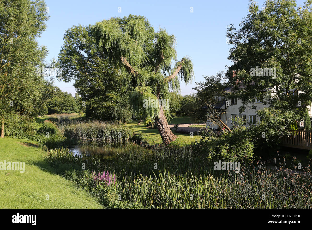 Historical cottage in Little Waltham,Essex,England Stock Photo Alamy