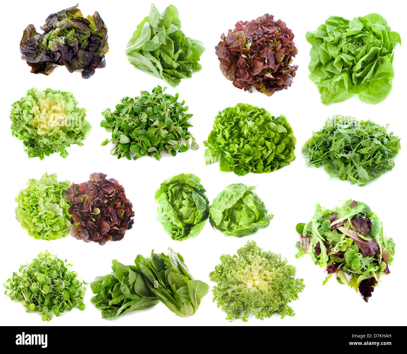 varieties of salads in front of white background Stock Photo