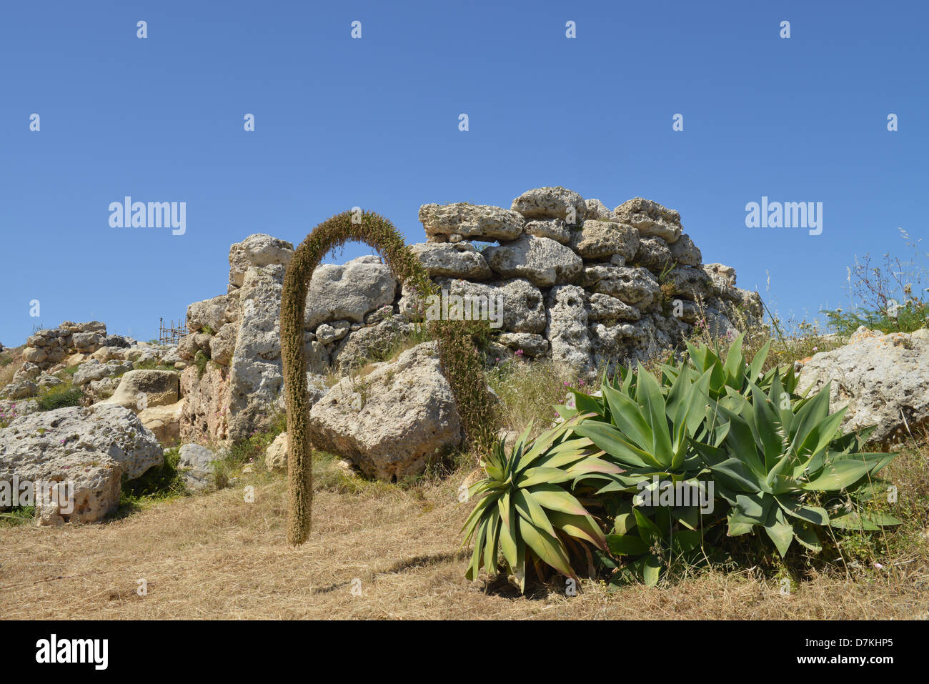 Ġgantija Temple, Gozo, Malta -1 Stock Photo