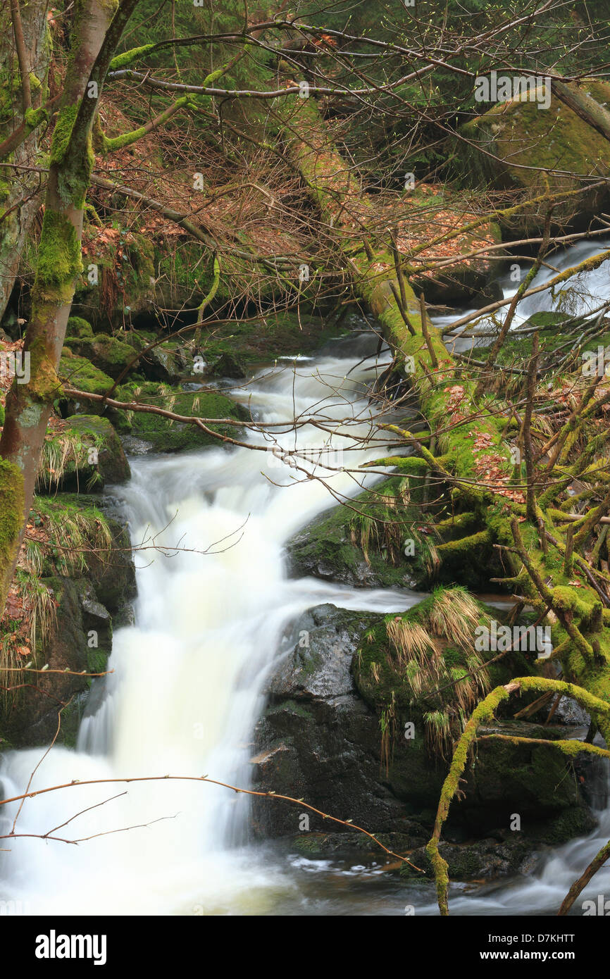 Waterfall in mountain stream Stock Photo - Alamy