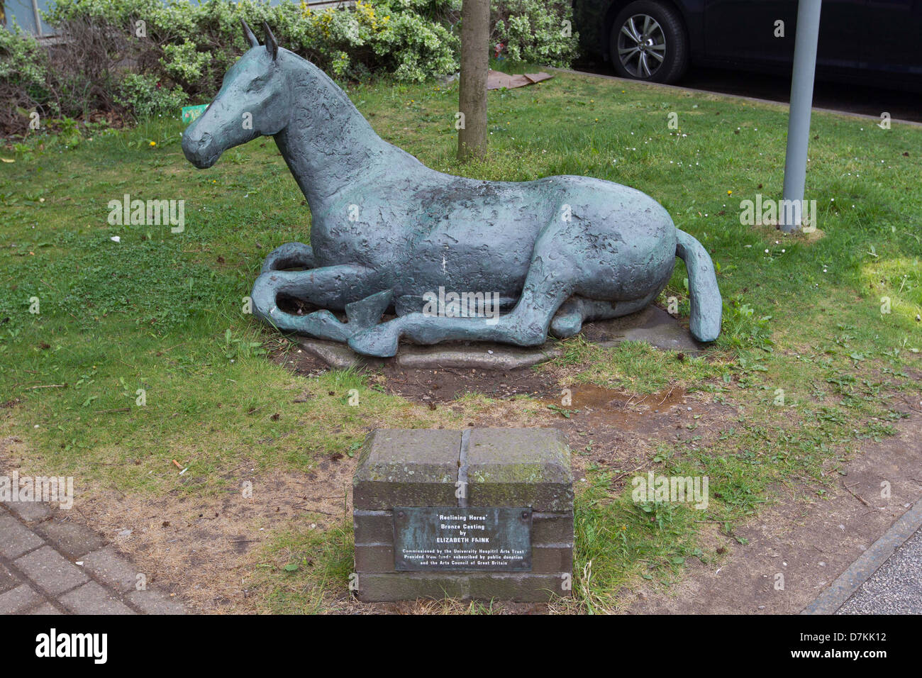 Reclining Horse Statue at the Elizabeth Fink NHS Queens Medical Centre