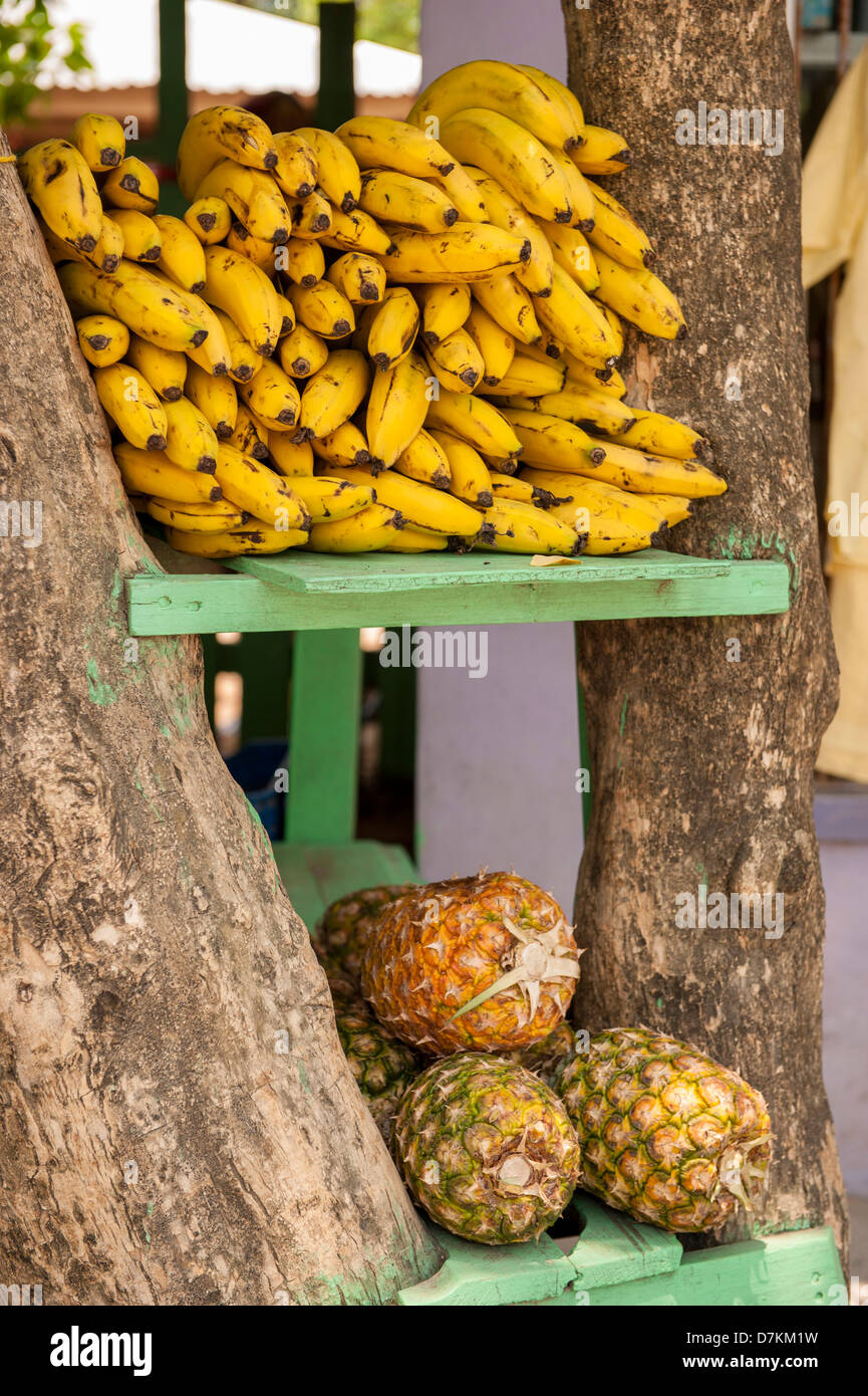 Central America, Honduras, Roatan, West End Village, fruit, bananas and pineapple for sale Stock