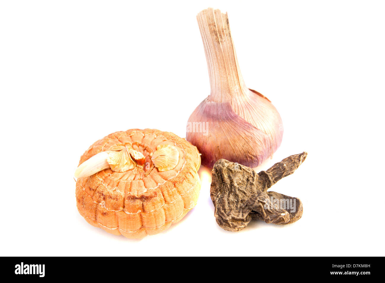 Gladiolus bulbs and seed of anemone close up isolated on white background Stock Photo Alamy