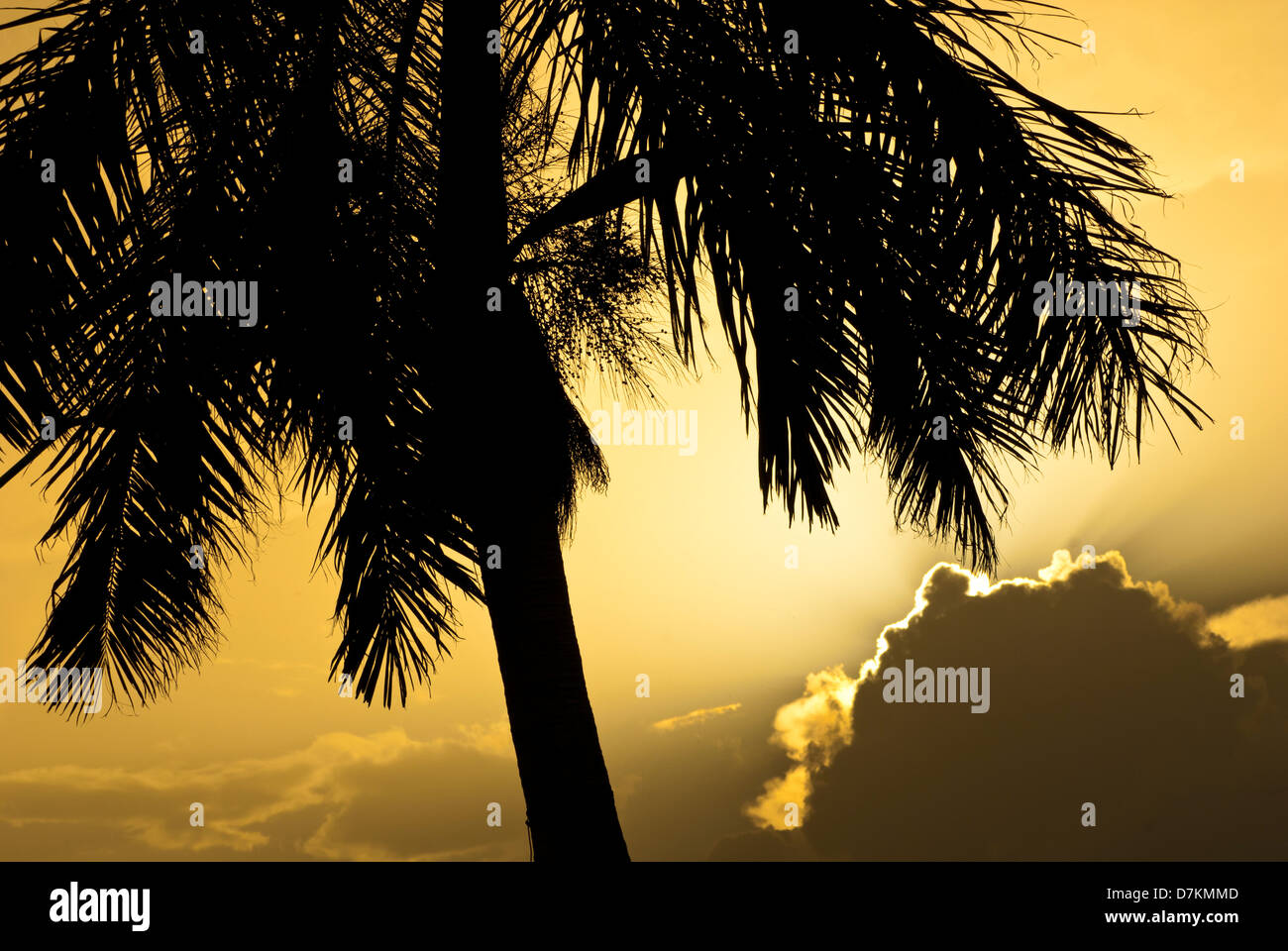 Mexico, Campeche State, Campeche city, sunset on the seafront Stock