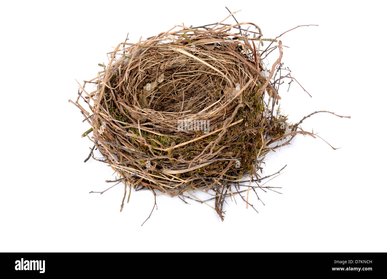black birds nest on white background Stock Photo - Alamy