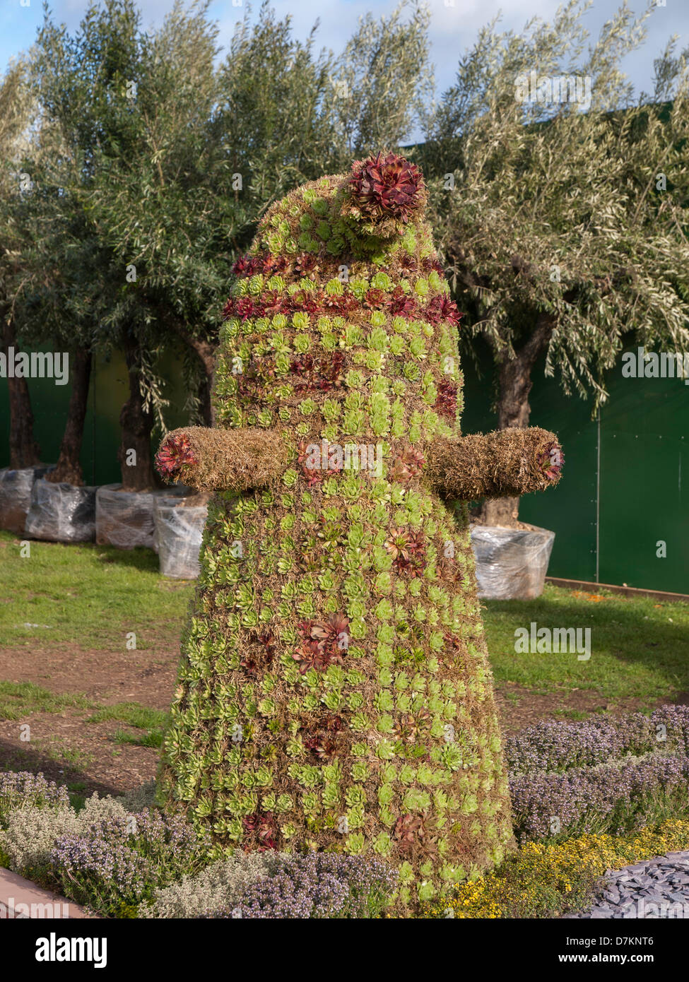 Exotic plants to grow in uk hires stock photography and images Alamy